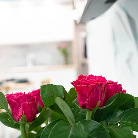 New Vip Blue Warszawa+parking Appartamento Wola Mrokowska